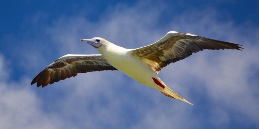 Being free to be me poem by Daphne Tore